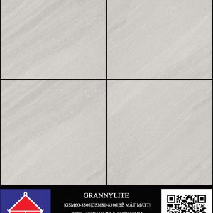 GSM60-8306 Và GSM80-8306