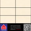 PGM36-0243