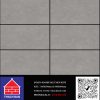 PGM36-0260