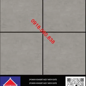 PGM60-0260 (60x60CM) và PGM80-0260