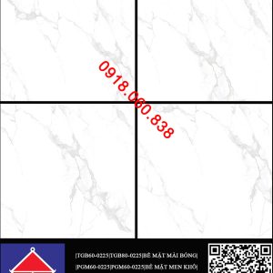 TGB80-0225/PGM60-0225