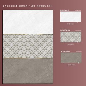 BL36034Lis-BL36034His-BL36034Dis