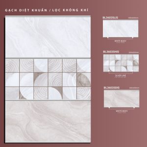 BL36035Lis-BL36035His-BL36035Dis