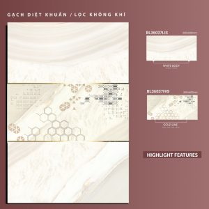 BL36037Lis-BL36037His