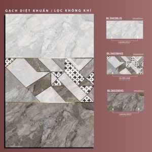 BL36038Lis-BL36038His-BL36038dis