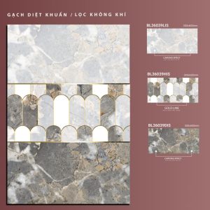 BL36039Lis-BL36039His-BL36039dis