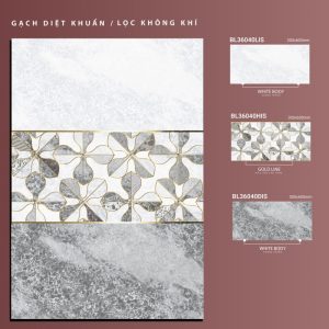 BL36040Lis-BL36040His-BL36040dis