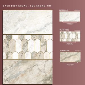 BL36041Lis-BL36041His-BL36041dis