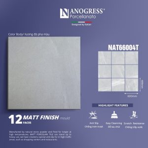 NAT66004T