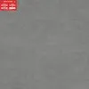 PGM80-0260
