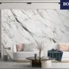 BJS826974