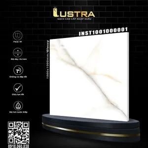 INST1001000001