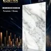 INEMB0601200040