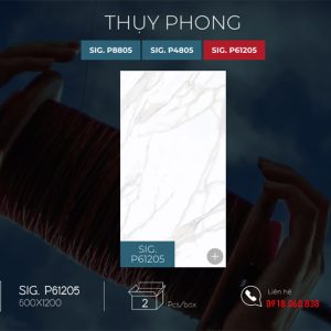 bst thuy phong sig p61205