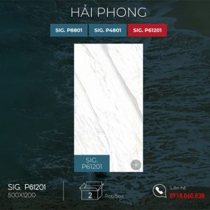 eurotile hai phong sig-p61201