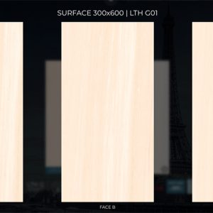 eurotile luu thuy LTH G01