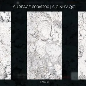eurotile sig-nhv q01