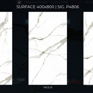 face chieu phong sig p4806