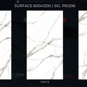 face chieu phong sig p61206