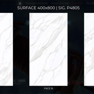 sp thuy phong sig p4805