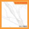 thuy phong sig p8805