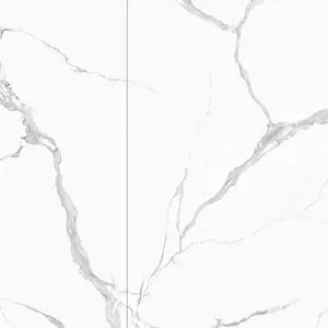 BL24917