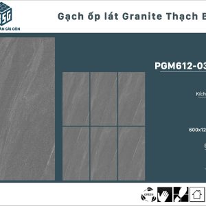 pgm612-0305