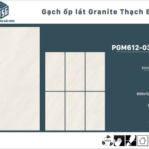 pgm612-0306