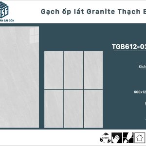 tgb612-0307