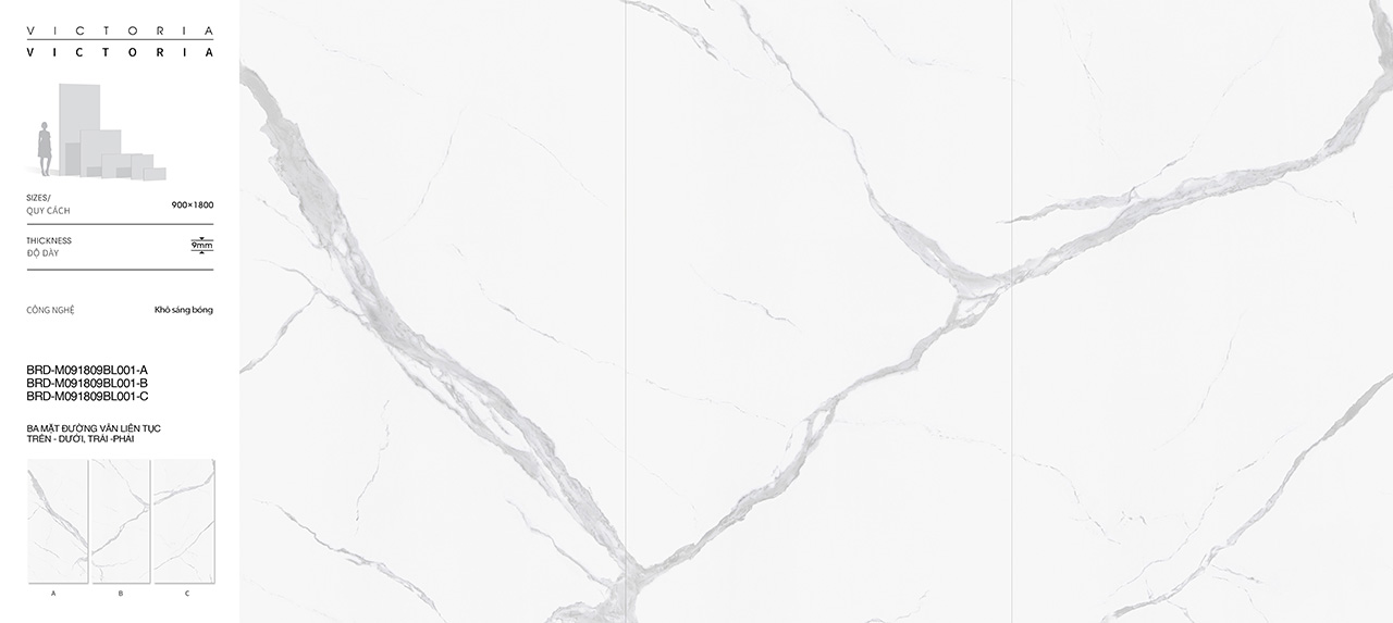 BRD-M091809BL001 BRD-M091809BL001