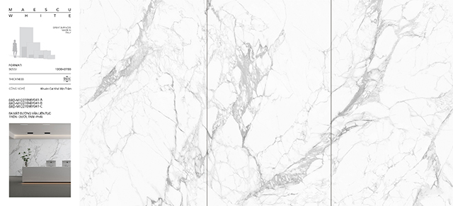 Maescu Trắng M122709BY041 Maescu Trắng M122709BY041