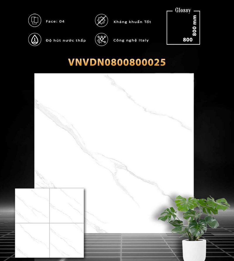 VDN0800800025 VDN0800800025
