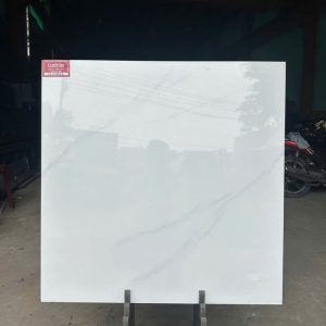 vdn0800800022