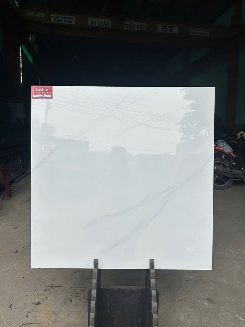 vdn0800800022 vdn0800800022