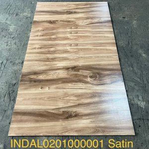 INDAL0201000001