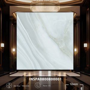 INSPA0800800001