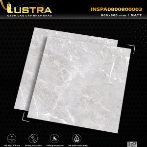 INSPA0800800003
