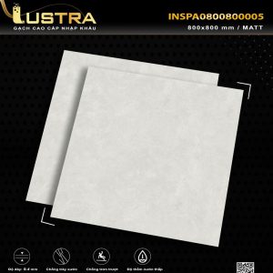 INSPA0800800005
