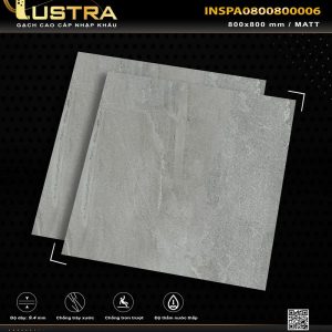 INSPA0800800006