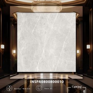 INSPA0800800010