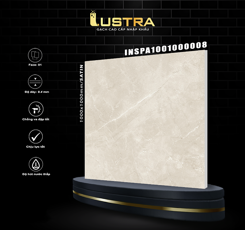 INSPA1001000008 INSPA1001000008