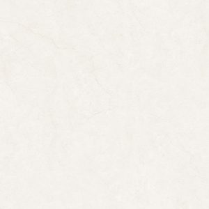 INSPA1201200007