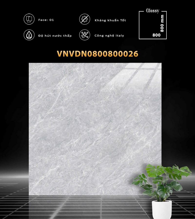 VDN0800800026 VDN0800800026