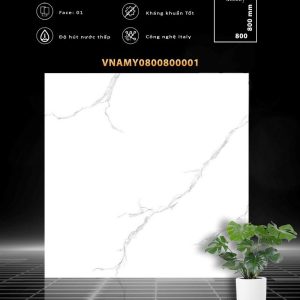 VNAMY0800800001