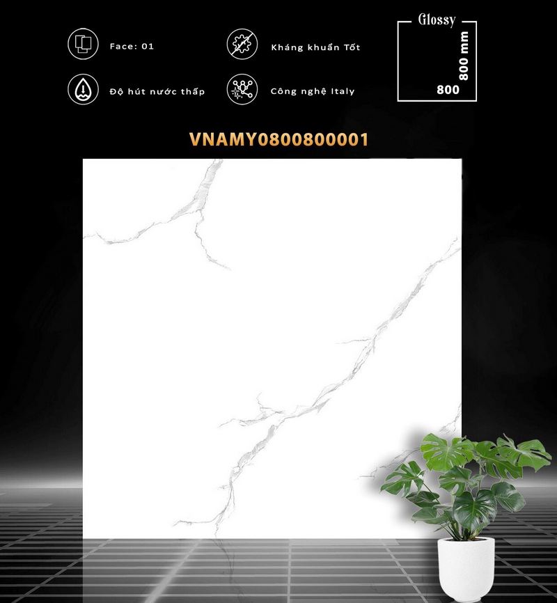 VNAMY0800800001 VNAMY0800800001