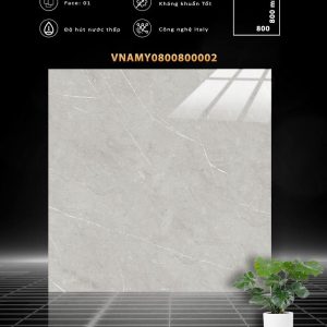 VNAMY0800800002