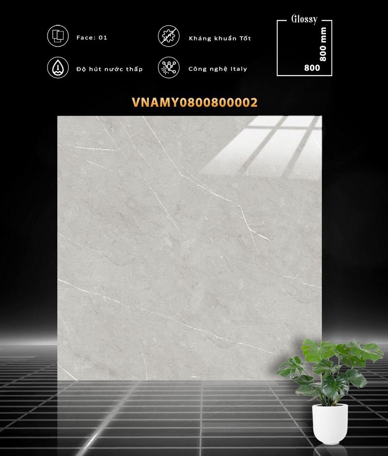 VNAMY0800800002 VNAMY0800800002