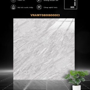 VNAMY0800800003