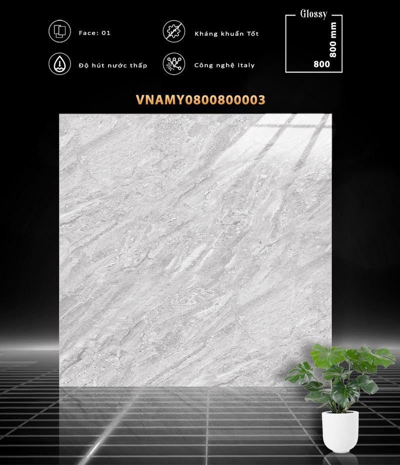 VNAMY0800800003 VNAMY0800800003