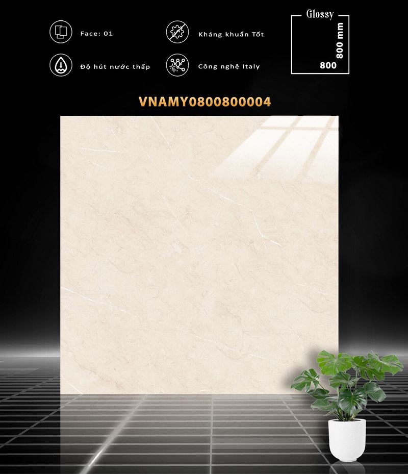 VNAMY0800800004 VNAMY0800800004
